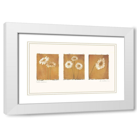 White Gerbers White Modern Wood Framed Art Print with Double Matting by Melious, Amy