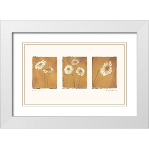 White Gerbers White Modern Wood Framed Art Print with Double Matting by Melious, Amy