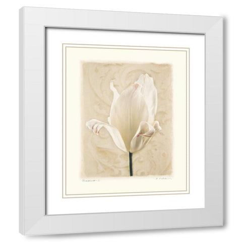 Chiaroscuro I White Modern Wood Framed Art Print with Double Matting by Melious, Amy
