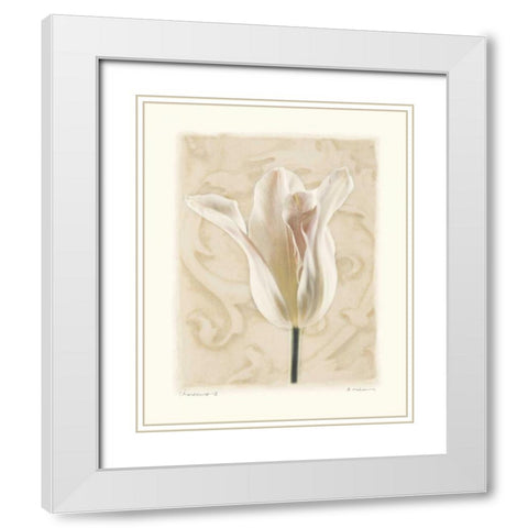 Chiaroscuro II White Modern Wood Framed Art Print with Double Matting by Melious, Amy