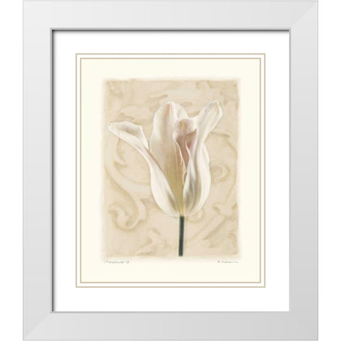 Chiaroscuro II White Modern Wood Framed Art Print with Double Matting by Melious, Amy