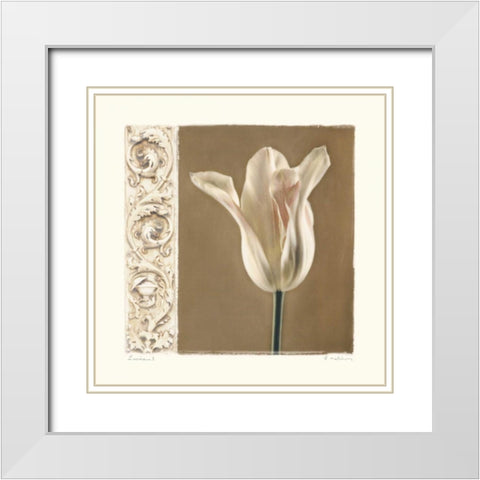 Lumiere I White Modern Wood Framed Art Print with Double Matting by Melious, Amy