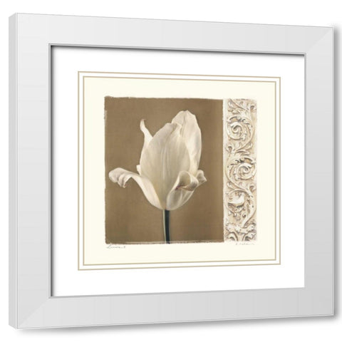 Lumiere II White Modern Wood Framed Art Print with Double Matting by Melious, Amy