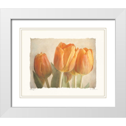 Bellezza I White Modern Wood Framed Art Print with Double Matting by Melious, Amy