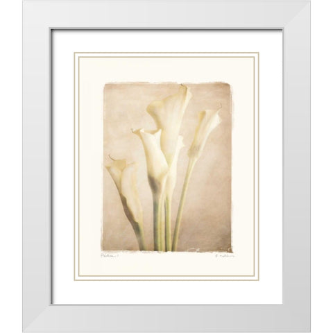 Poetica I White Modern Wood Framed Art Print with Double Matting by Melious, Amy