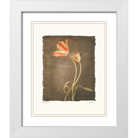Allegria I White Modern Wood Framed Art Print with Double Matting by Melious, Amy