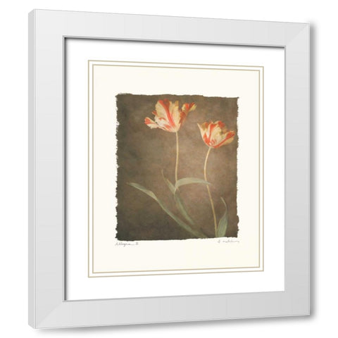 Allegria III White Modern Wood Framed Art Print with Double Matting by Melious, Amy