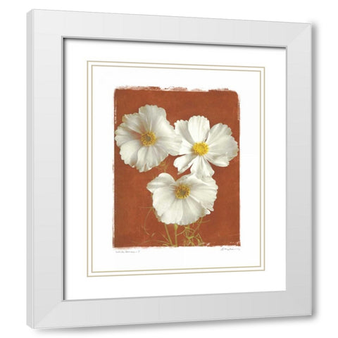 White Cosmos I White Modern Wood Framed Art Print with Double Matting by Melious, Amy