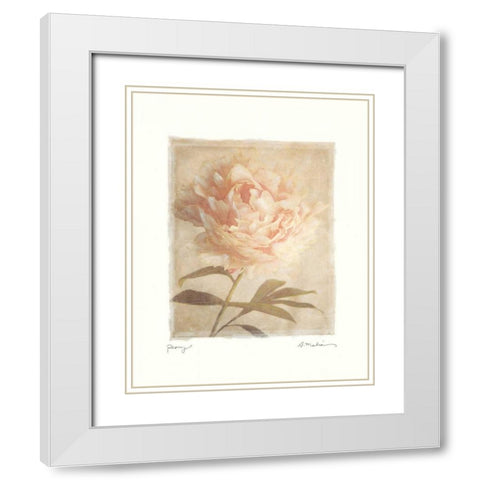 Peony White Modern Wood Framed Art Print with Double Matting by Melious, Amy