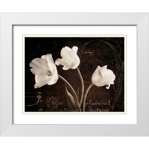 Garden Love Letter II White Modern Wood Framed Art Print with Double Matting by Melious, Amy