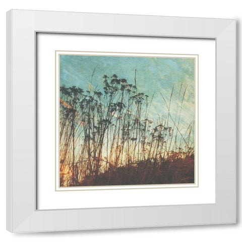 Wild Grass I White Modern Wood Framed Art Print with Double Matting by Melious, Amy