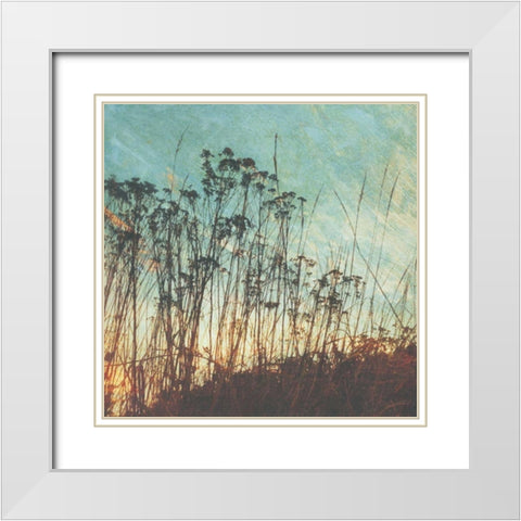 Wild Grass I White Modern Wood Framed Art Print with Double Matting by Melious, Amy