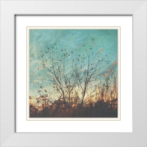 Wild Grass II White Modern Wood Framed Art Print with Double Matting by Melious, Amy