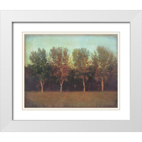 Natures Bliss I White Modern Wood Framed Art Print with Double Matting by Melious, Amy