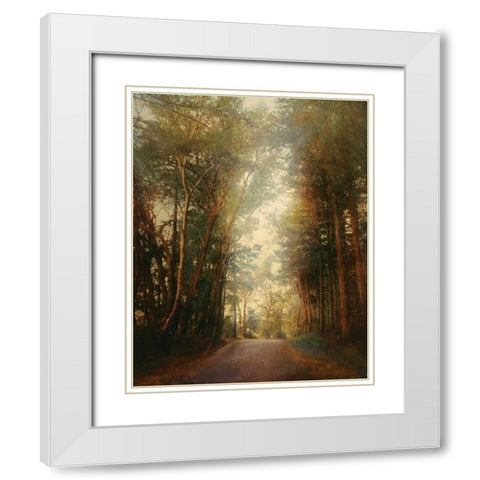 Road of Mysteries II White Modern Wood Framed Art Print with Double Matting by Melious, Amy