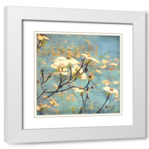 Dogwood II White Modern Wood Framed Art Print with Double Matting by Melious, Amy