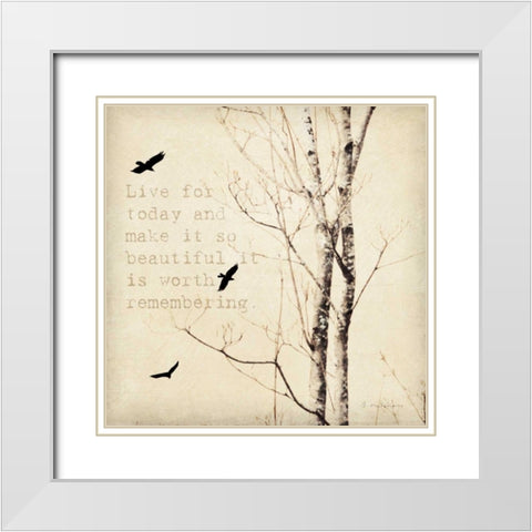 Birds and Branches II White Modern Wood Framed Art Print with Double Matting by Melious, Amy