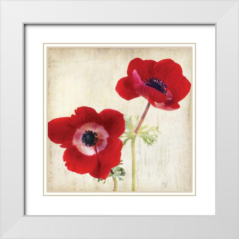 Red II White Modern Wood Framed Art Print with Double Matting by Melious, Amy