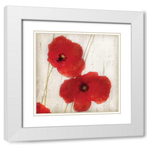 Red  IV White Modern Wood Framed Art Print with Double Matting by Melious, Amy