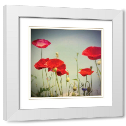 Bloom I White Modern Wood Framed Art Print with Double Matting by Melious, Amy