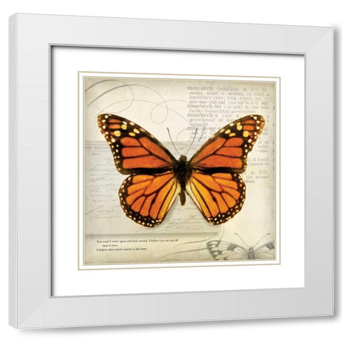 Butterflies Script II White Modern Wood Framed Art Print with Double Matting by Melious, Amy