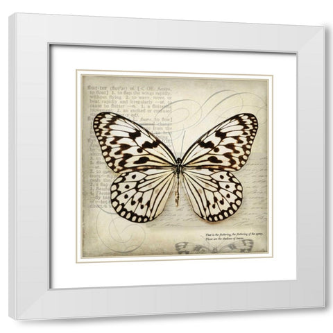 Butterflies Script III White Modern Wood Framed Art Print with Double Matting by Melious, Amy