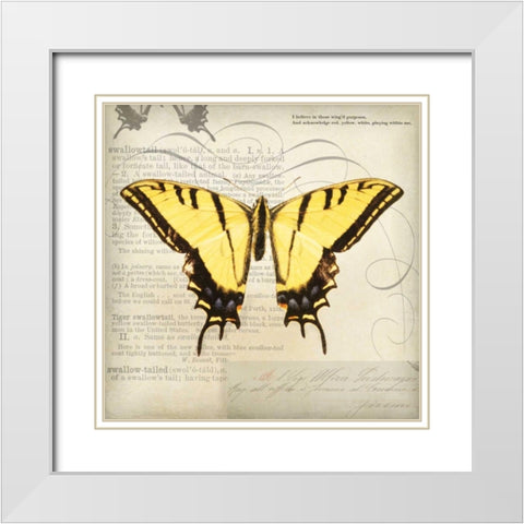 Butterflies Script V White Modern Wood Framed Art Print with Double Matting by Melious, Amy