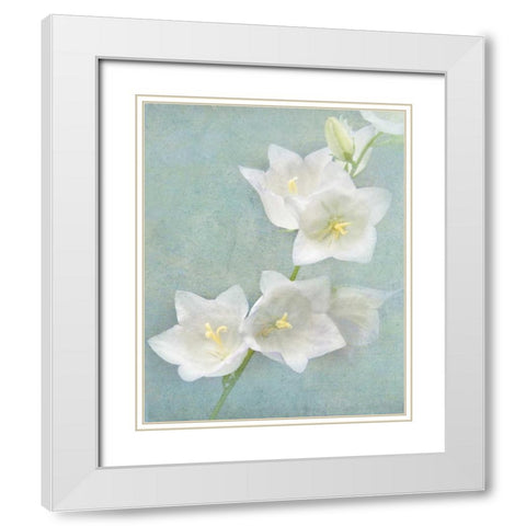 Aqua Floral IV White Modern Wood Framed Art Print with Double Matting by Melious, Amy