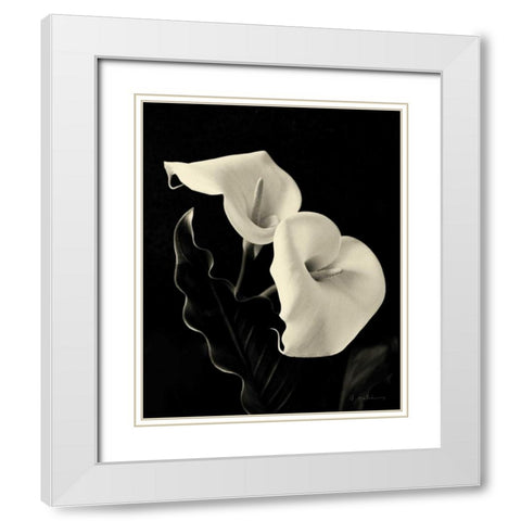 Botanical Elegance Calla IV White Modern Wood Framed Art Print with Double Matting by Melious, Amy