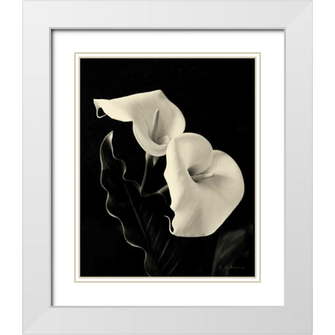 Botanical Elegance Calla IV White Modern Wood Framed Art Print with Double Matting by Melious, Amy