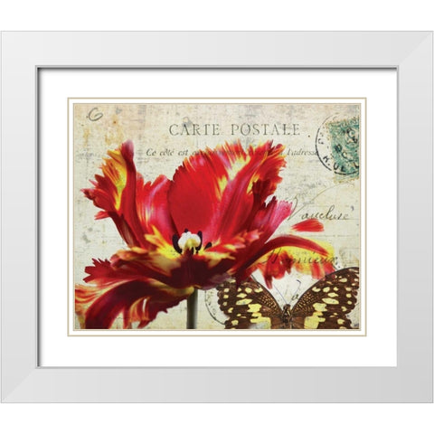 Carte Postale Tulip I White Modern Wood Framed Art Print with Double Matting by Melious, Amy