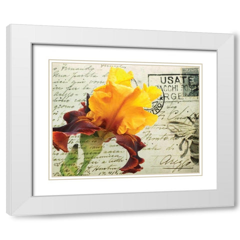 Carte Postale Iris White Modern Wood Framed Art Print with Double Matting by Melious, Amy