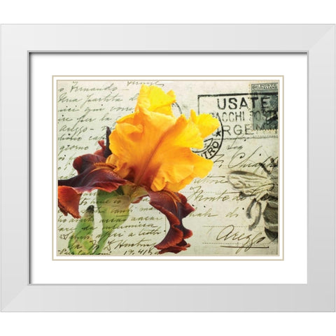 Carte Postale Iris White Modern Wood Framed Art Print with Double Matting by Melious, Amy