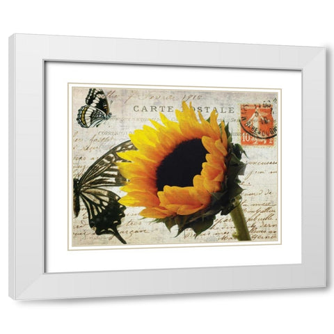 Carte Postale Sunflower White Modern Wood Framed Art Print with Double Matting by Melious, Amy