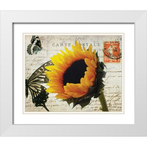 Carte Postale Sunflower White Modern Wood Framed Art Print with Double Matting by Melious, Amy