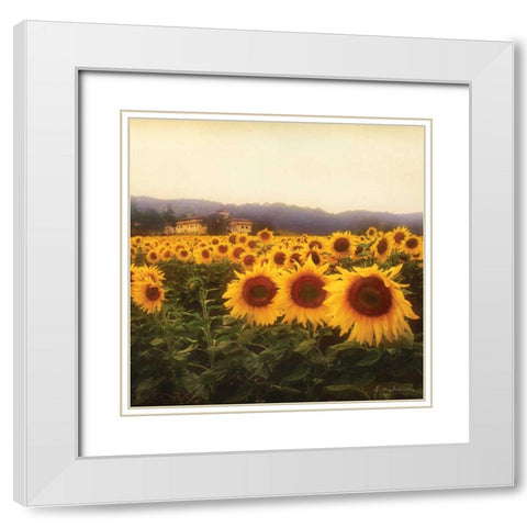 Tuscan Sunflowers White Modern Wood Framed Art Print with Double Matting by Melious, Amy