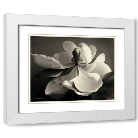 Magnolia Bloom White Modern Wood Framed Art Print with Double Matting by Melious, Amy