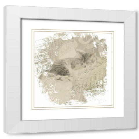 Feline Illustration I White Modern Wood Framed Art Print with Double Matting by Melious, Amy