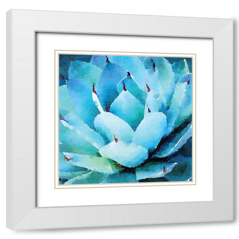 Oppulent Succulents II White Modern Wood Framed Art Print with Double Matting by Meyer, Jill