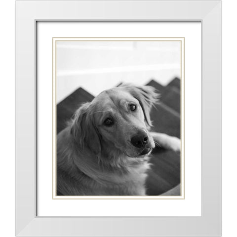 Goldie I Black and White White Modern Wood Framed Art Print with Double Matting by Millet, Karyn