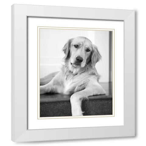 Goldie II Black and White White Modern Wood Framed Art Print with Double Matting by Millet, Karyn