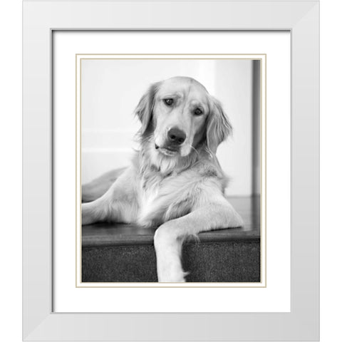 Goldie II Black and White White Modern Wood Framed Art Print with Double Matting by Millet, Karyn