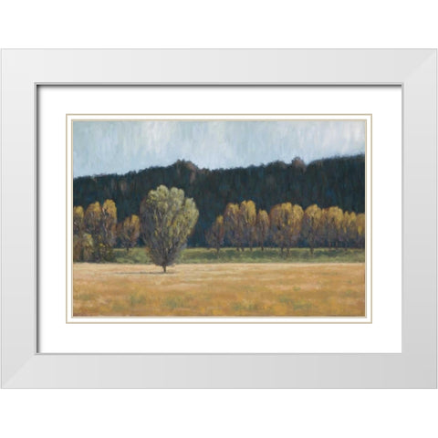 Cottonwood Country I White Modern Wood Framed Art Print with Double Matting by Macnab, John