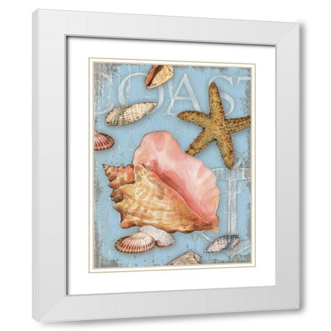Beach Shells Coast White Modern Wood Framed Art Print with Double Matting by Paton, Julie