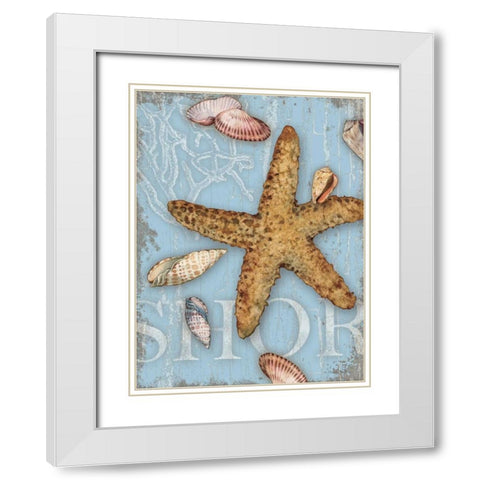 Beach Shells Shore White Modern Wood Framed Art Print with Double Matting by Paton, Julie