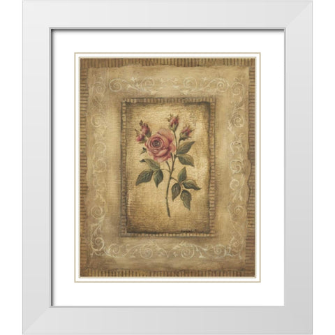 Savin Rose White Modern Wood Framed Art Print with Double Matting by Poloson, Kimberly