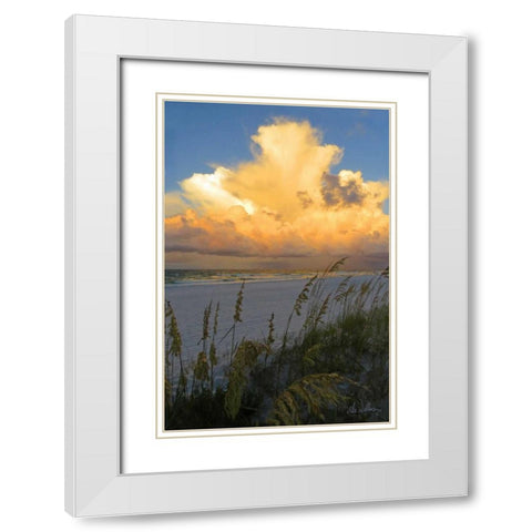 Majestic Coast II White Modern Wood Framed Art Print with Double Matting by Williams, Alex