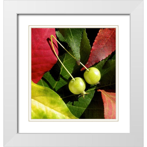 Fall Colors II White Modern Wood Framed Art Print with Double Matting by Burkhart, Monika