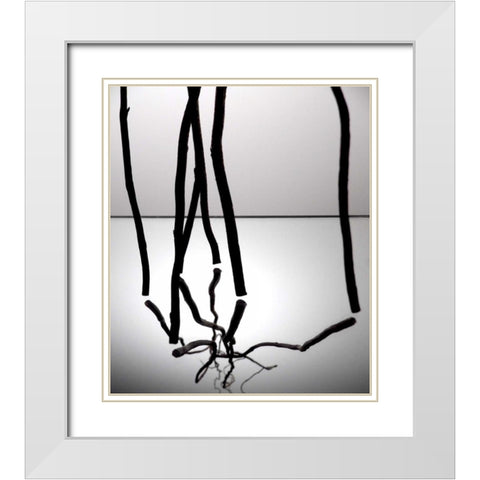 Natures Reflections III White Modern Wood Framed Art Print with Double Matting by Burkhart, Monika