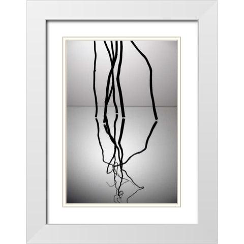 Natures Reflections V White Modern Wood Framed Art Print with Double Matting by Burkhart, Monika